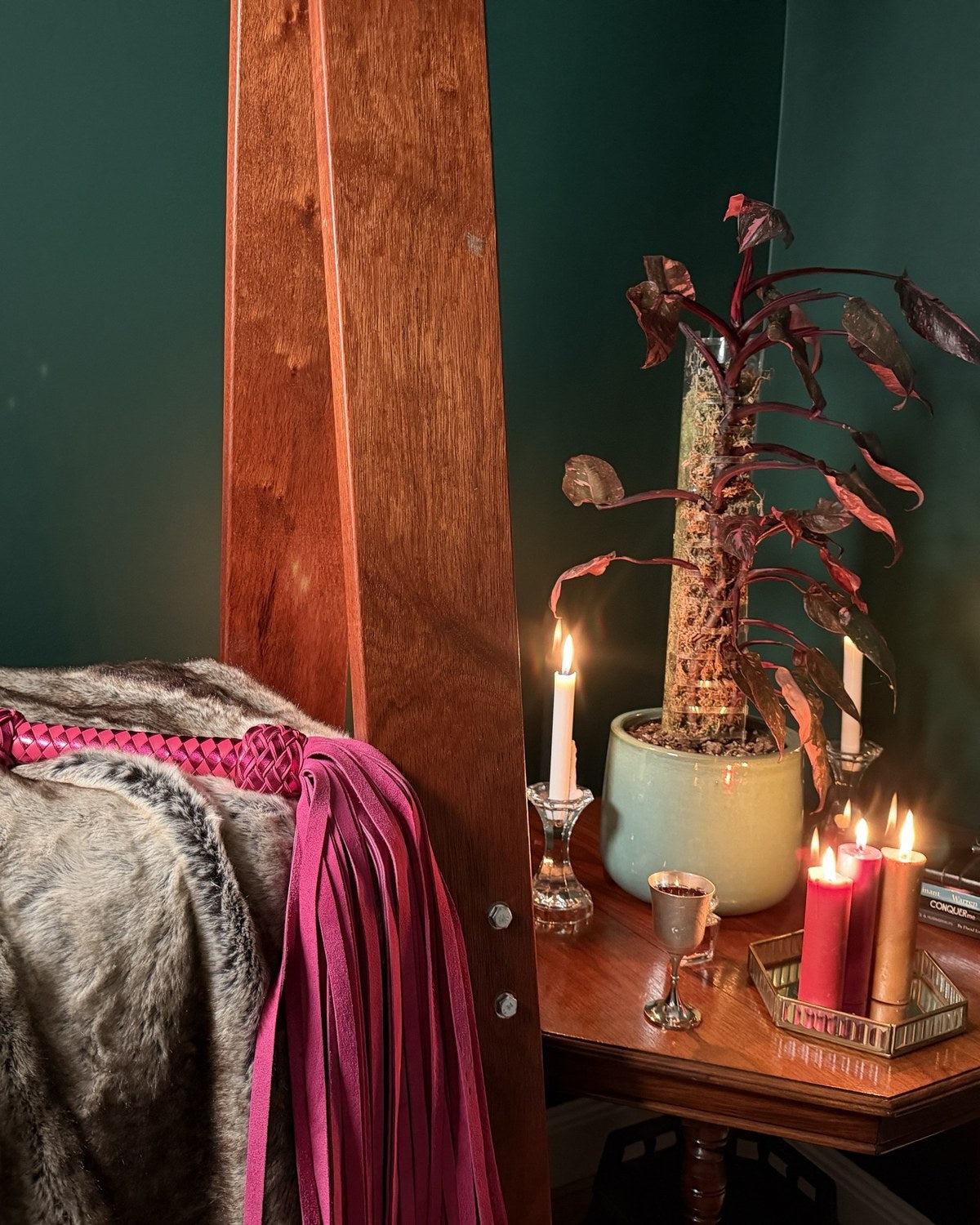 Pink nappa flogger over fur beside lit candles and a Pink Princess philodendron, The Cabinet of Curiosities by Collared Foxy